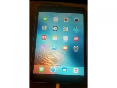 Apple iPad mini 2 16GB Wi-Fi Model